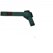 Пояс для кимоно Champion зеленый 260 см Пояс для кимоно Champion зеленый 260 см